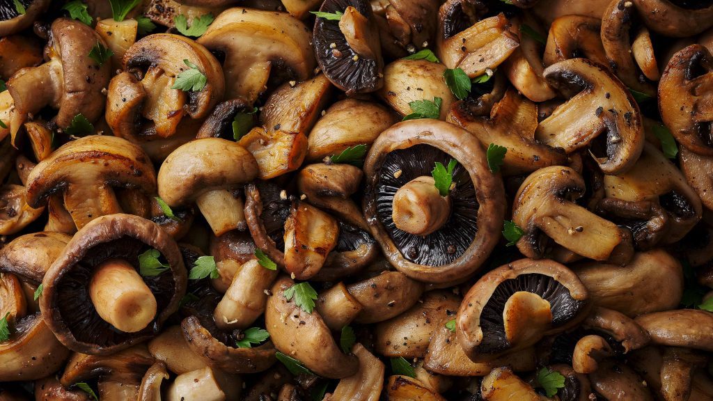 tesco quality seal mushrooms macro image